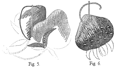 Illustration of stitches 5 and 6 for strawberry