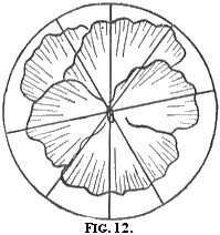 stitch direction for embroidery Fig. 12 stitch direction for embroidery Fig. 12