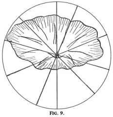 stitch direction for embroidery Fig. 9 stitch direction for embroidery Fig. 9